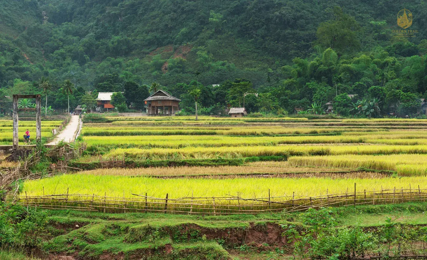 Easy Mai Chau – Ninh Binh Tour from Hanoi 3 Days: Mountains, Rice Valleys & Karst Landscapes